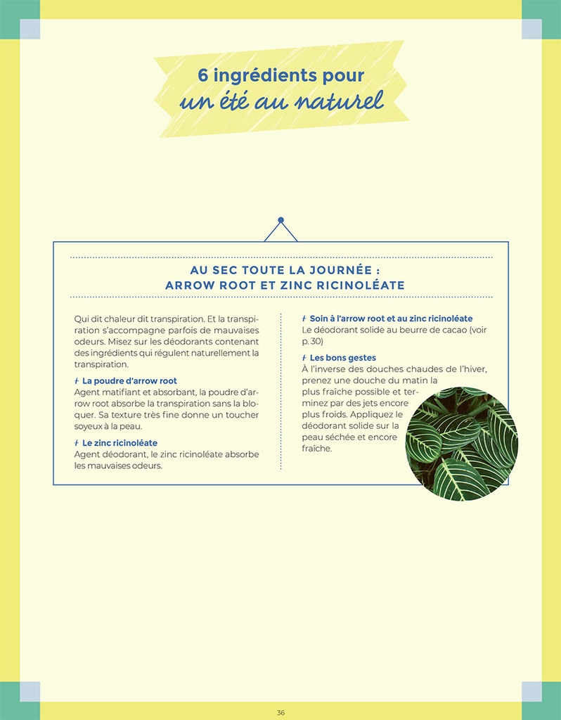 Mes vacances eco-friendly